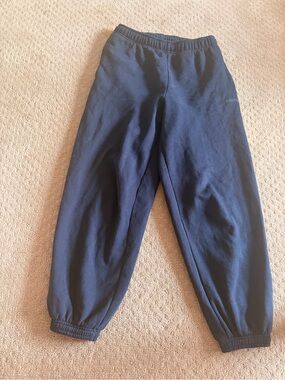 Aritzia Navy Mega Fit Sweatpants